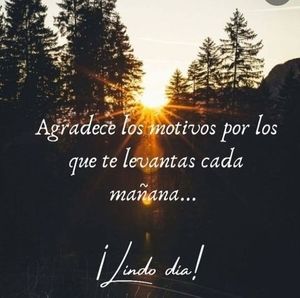 Meet your Posher, Elsa